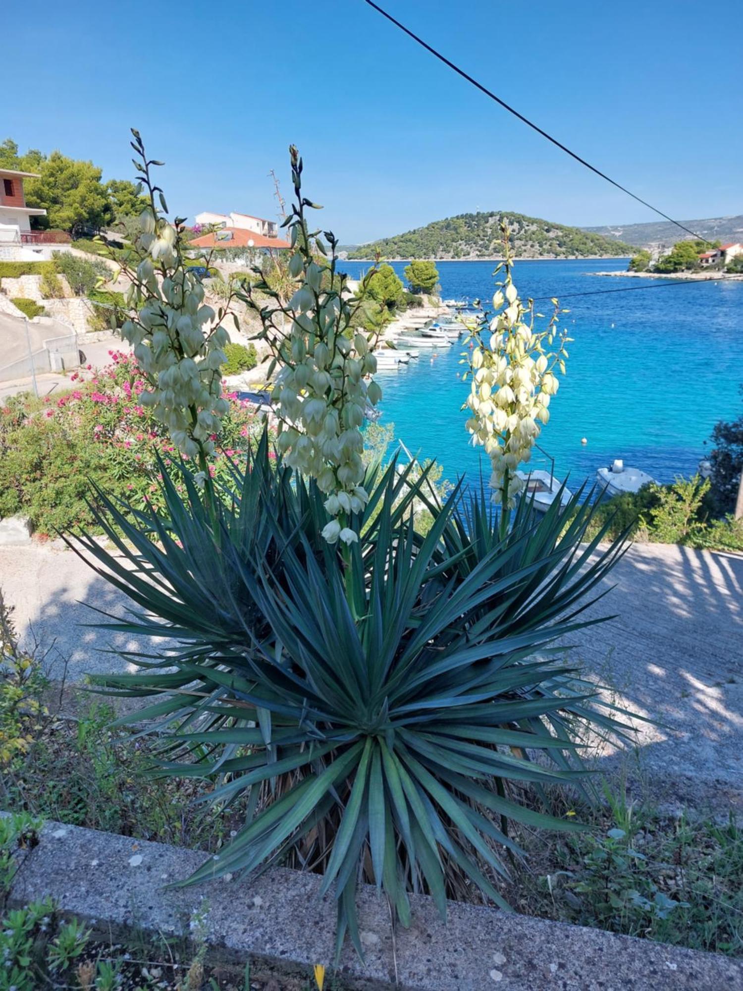 Villa Speranda Ražanj Εξωτερικό φωτογραφία